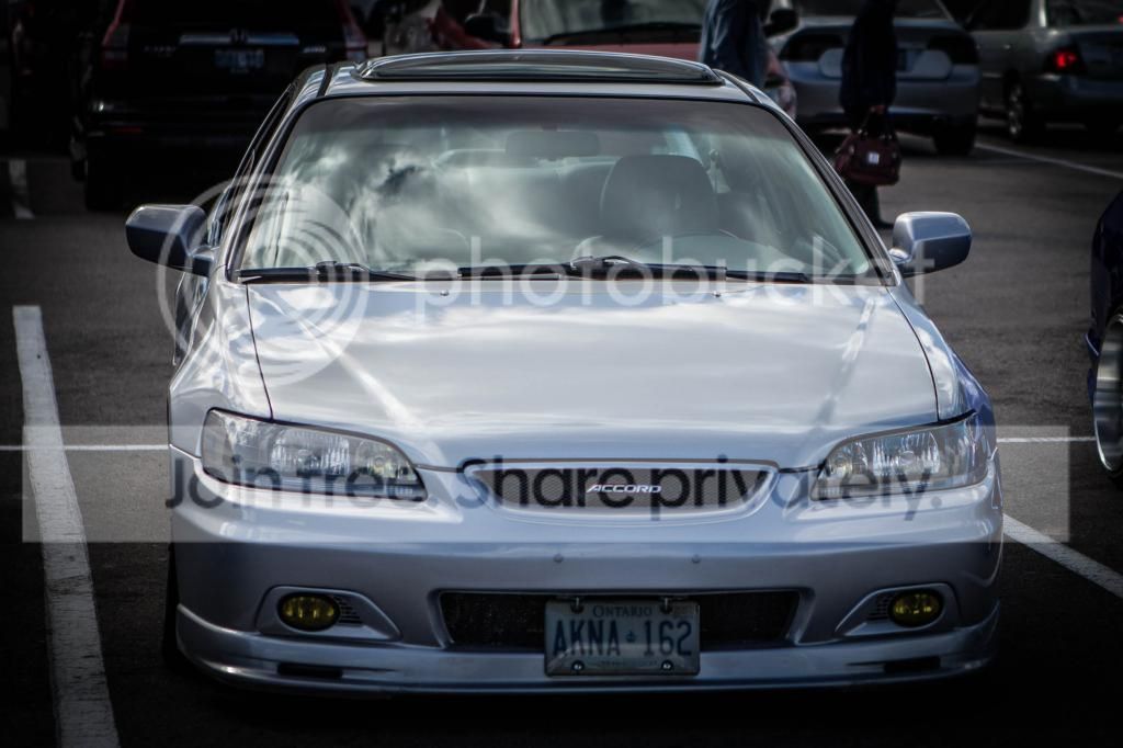 IMG_2560_zps8ee53951.jpg