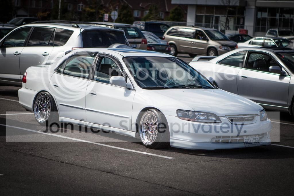 IMG_2558_zpsd8ba12b7.jpg