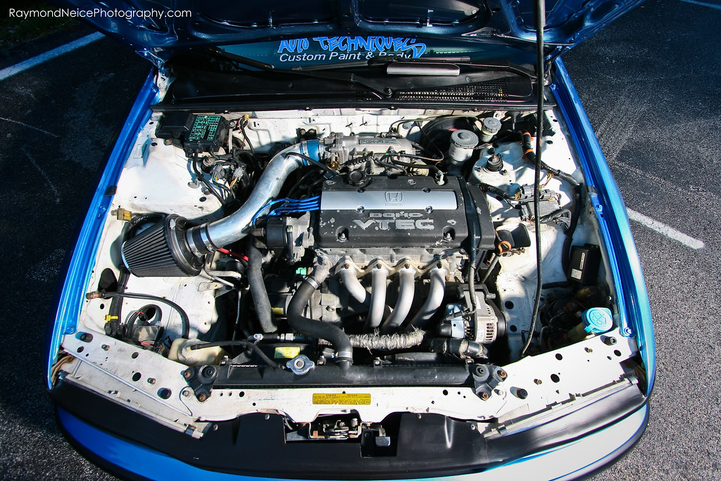 5287024973_1cf02fc0b7_b.jpg