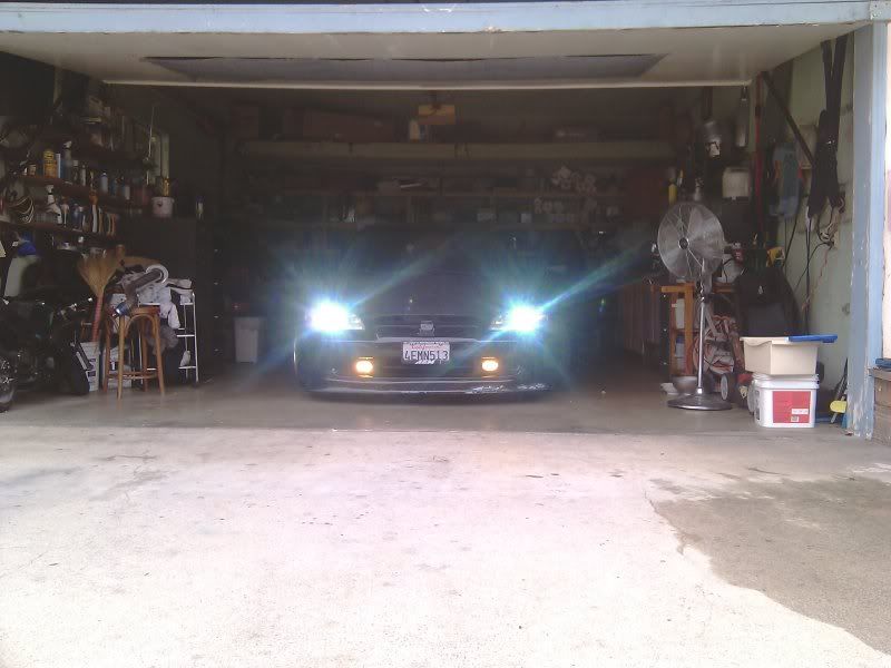 IMAG0313.jpg