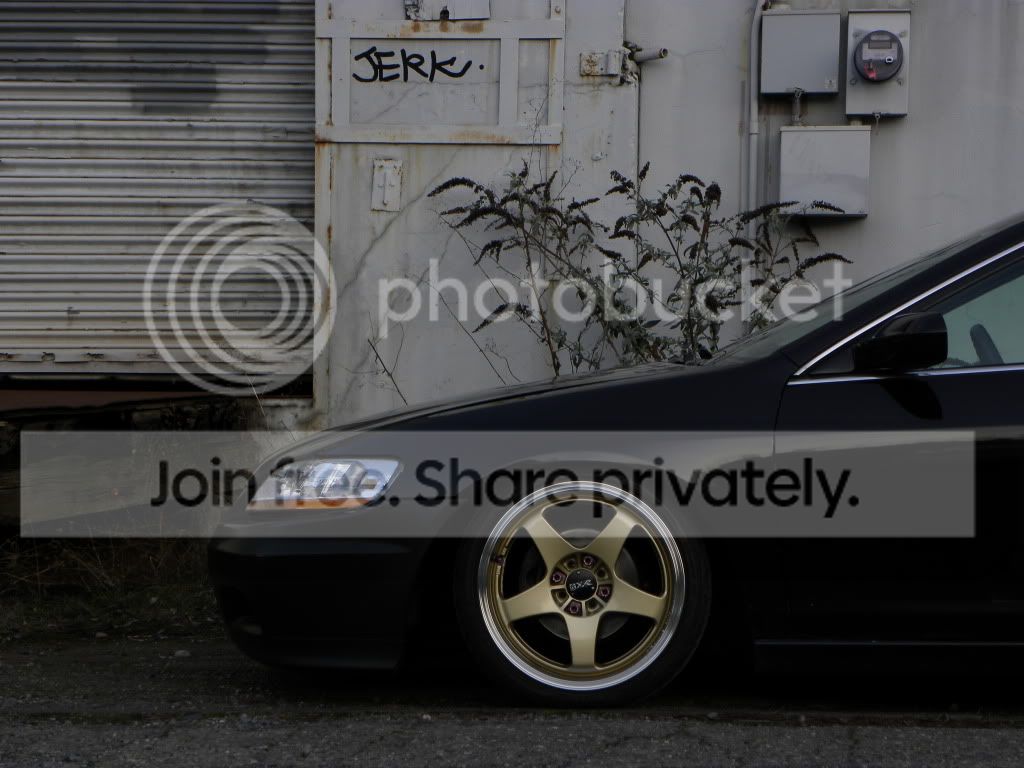 DSCN7851.jpg