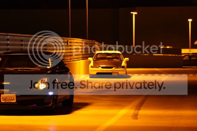 newpics1.jpg