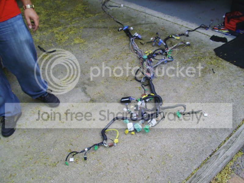 PICT0087.jpg