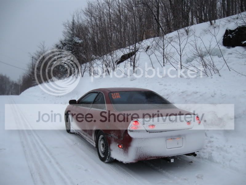 Janv09007.jpg