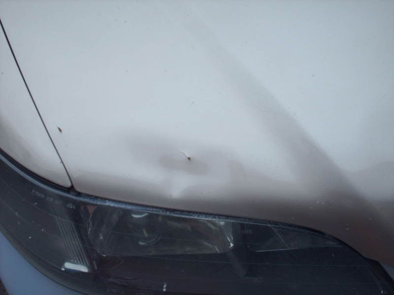 PICT0732.jpg