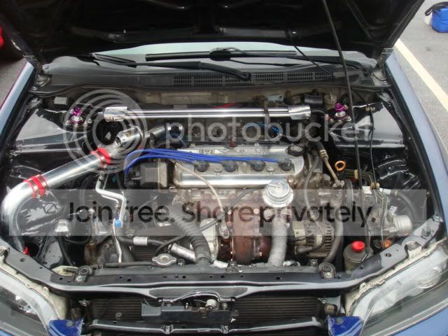 DSC06332.jpg