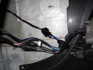 DSCN0703.jpg