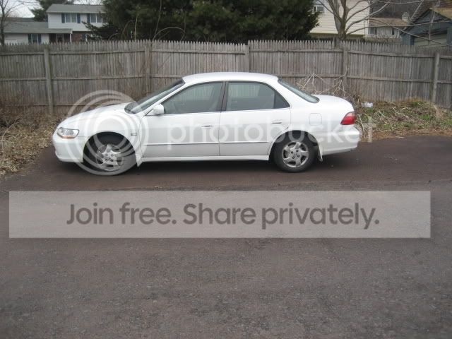 THEwhip.jpg