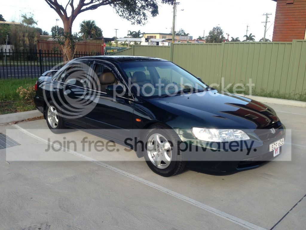 IMG_1717_zps366e4fda.jpg