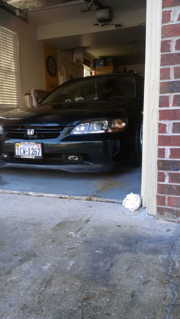 IMAG0632-1.jpg