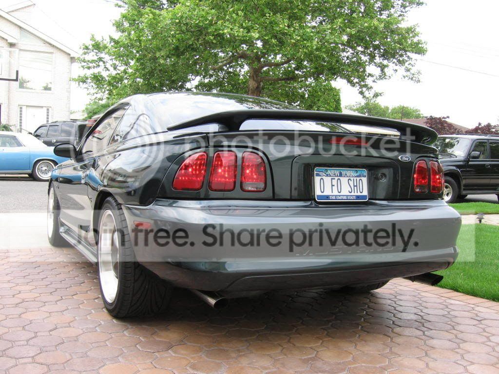 IMG_2851.jpg