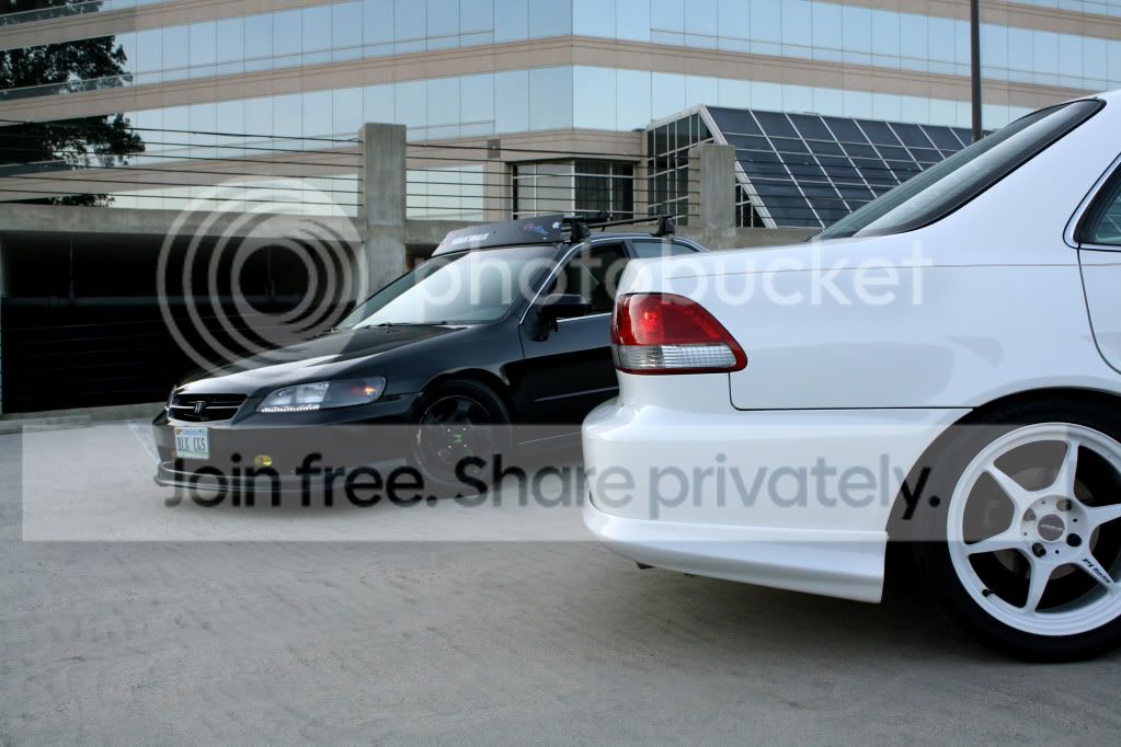 IMG_2333copy.jpg