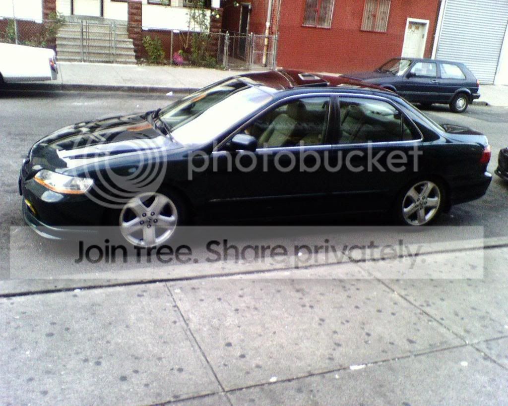IMG00260.jpg