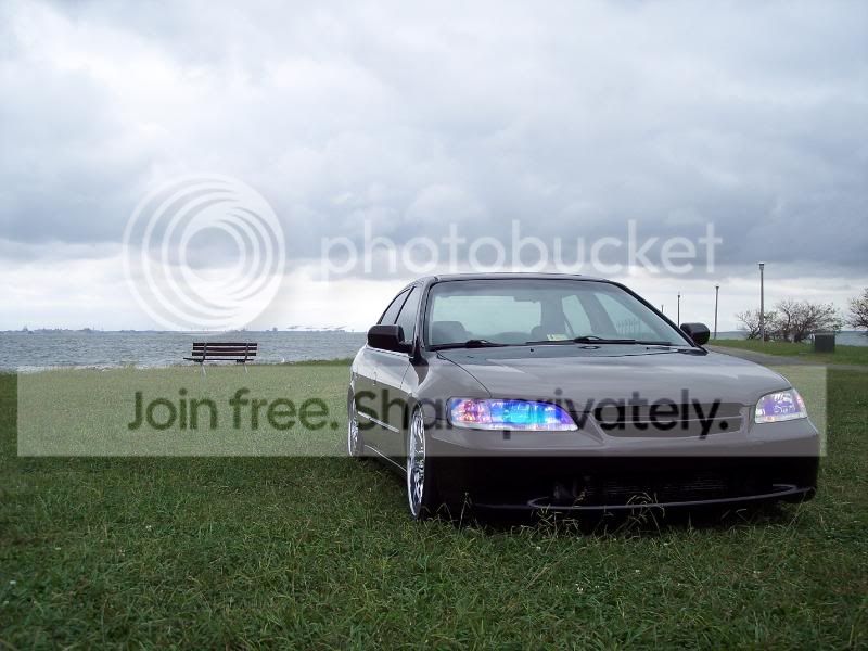 newpix007.jpg