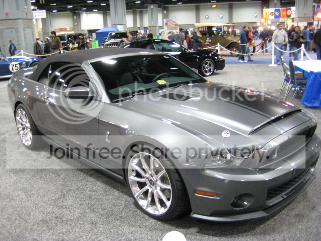 IMG_0458_zps9bd48585.jpg