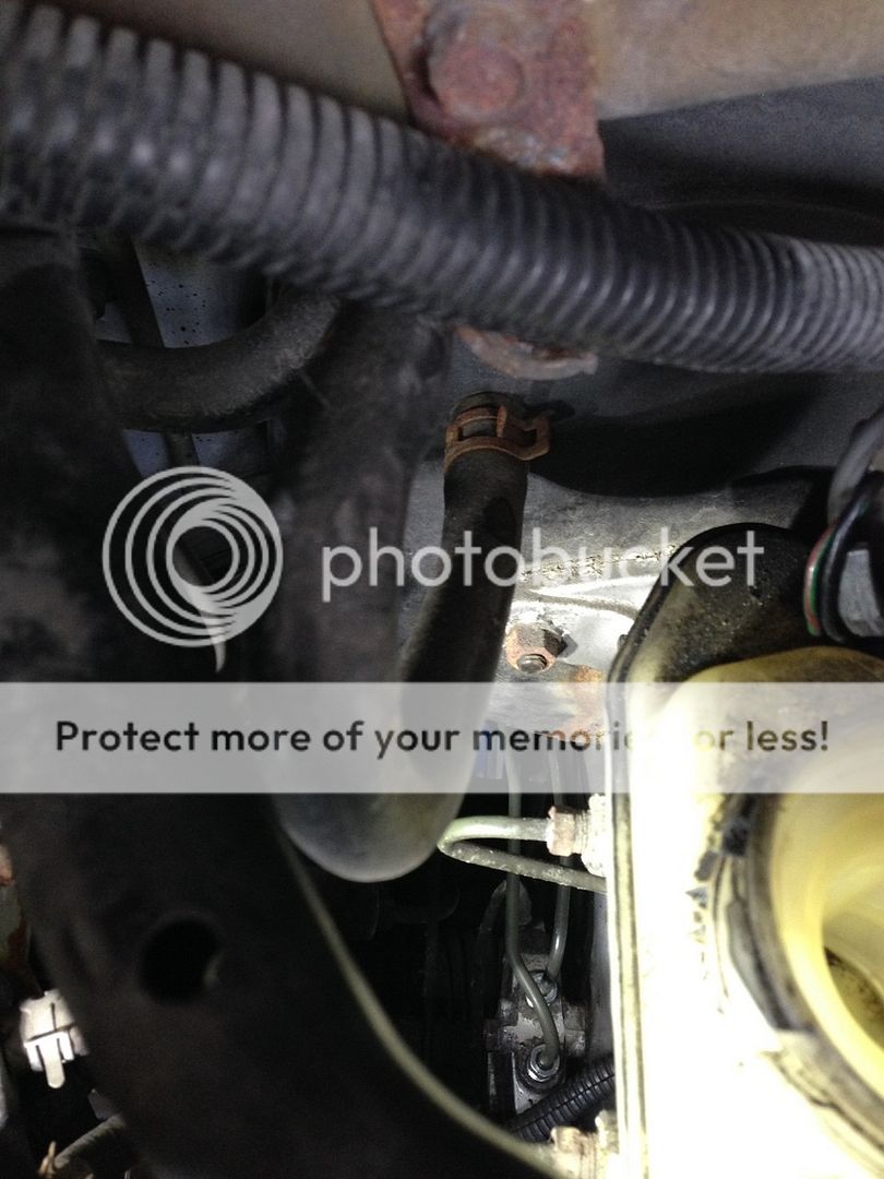 IMG_3133_zpse2jdimbg.jpg