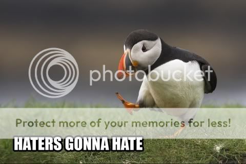 haters-gonna-hate-puffin.jpg