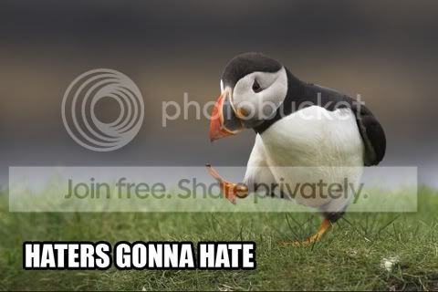 haters-gonna-hate-puffin.jpg