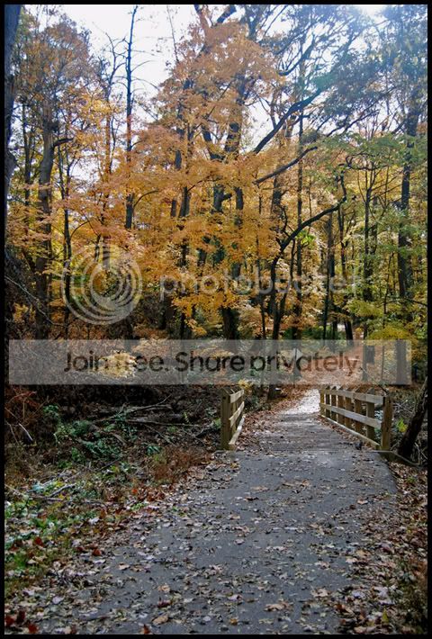 Fall005a.jpg