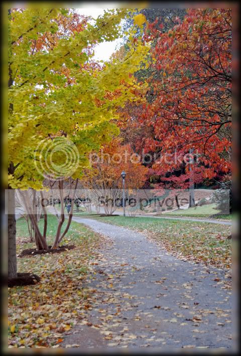 Fall026a.jpg