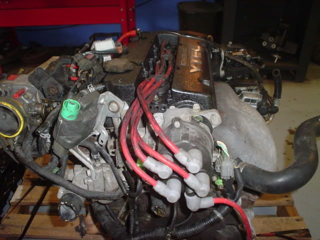 DSC00364.jpg