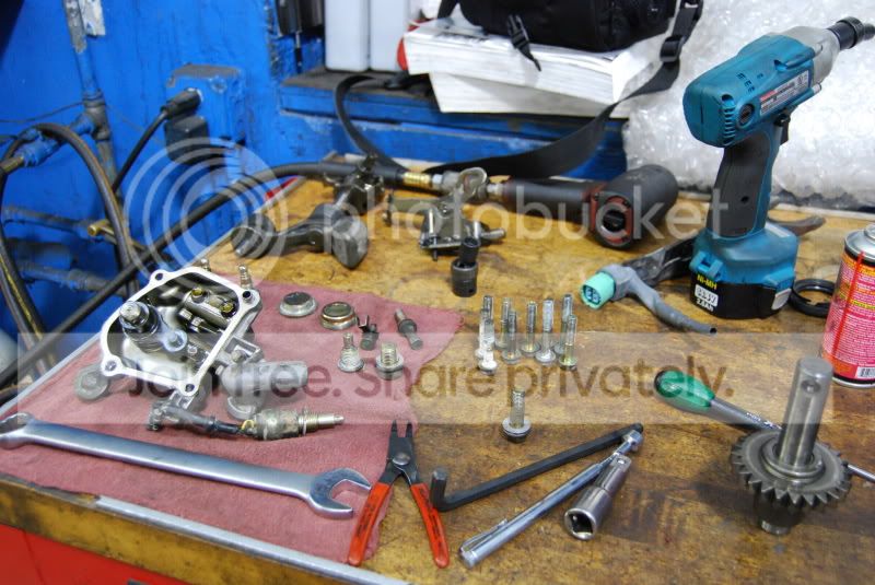 DSC_0356.jpg