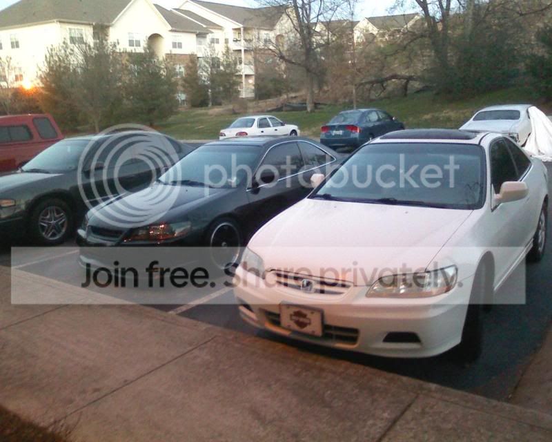 IMG00731.jpg
