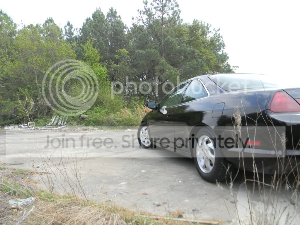 DSCN7155.jpg