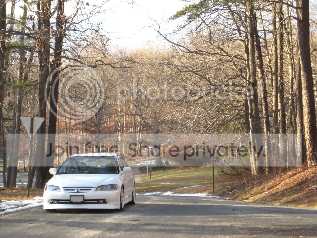 IMG_5318.jpg