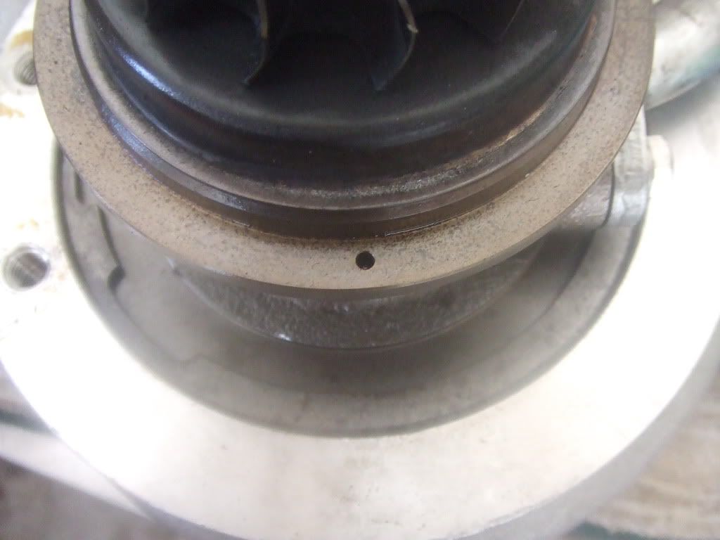 DSCF3510.jpg
