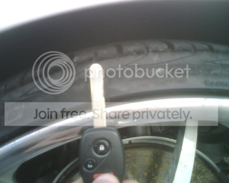 IMG00449.jpg