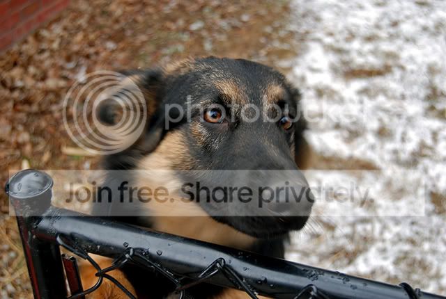 Coppersnow058a.jpg