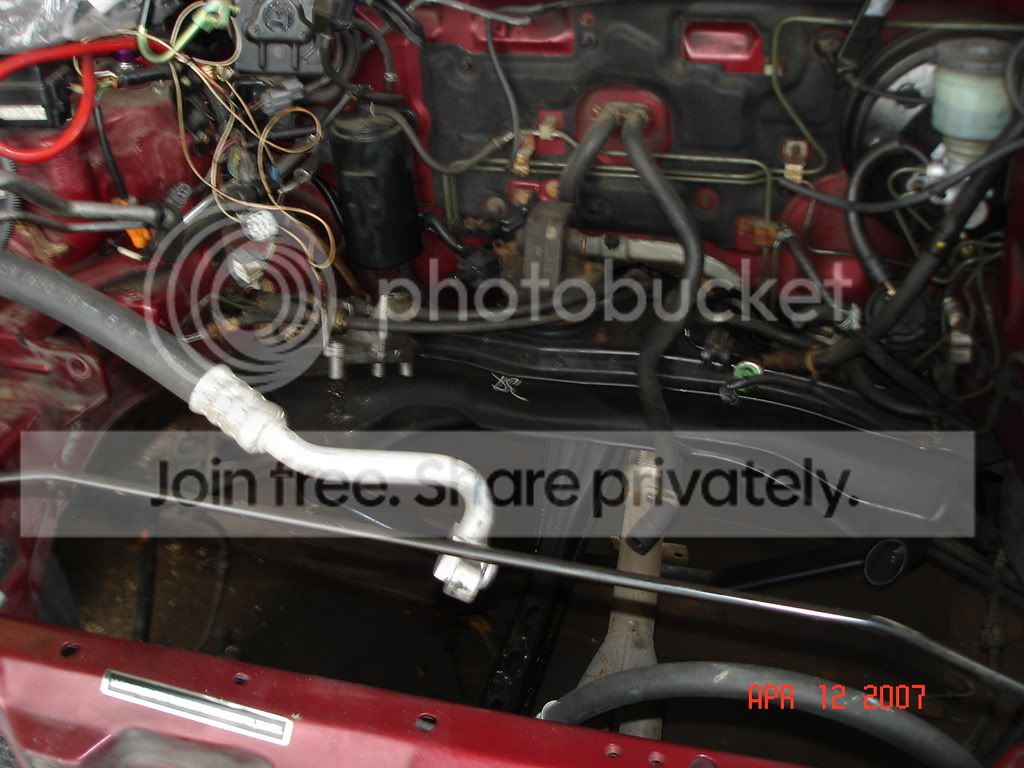 DSC00429.jpg