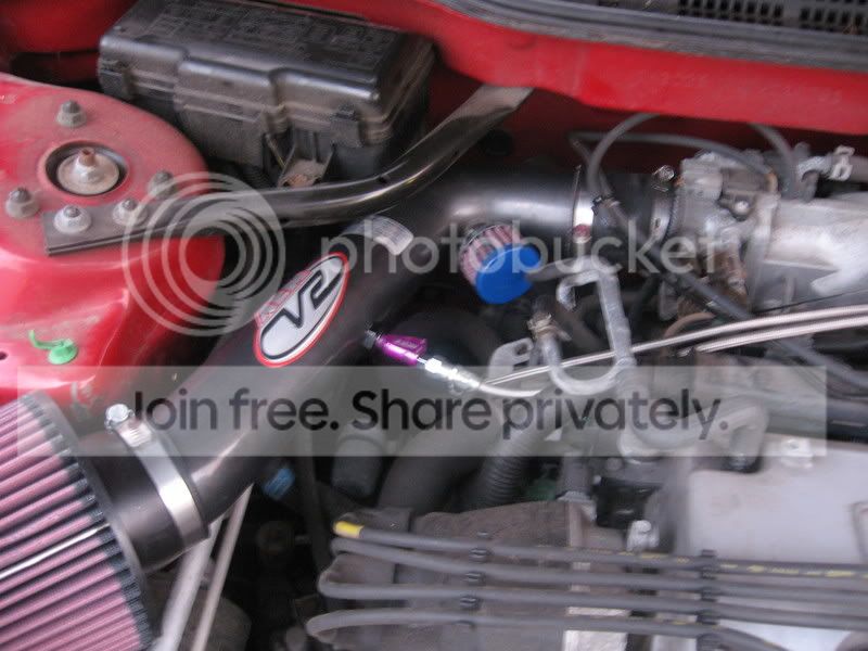 Picture009.jpg