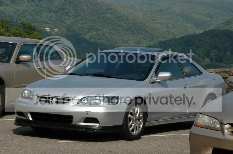 DSC_3338.jpg