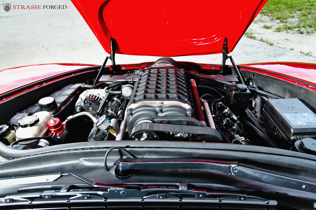 6172014871_0e9fa25969_b.jpg
