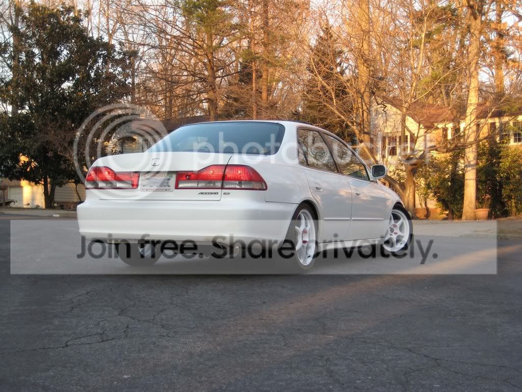 IMG_0951.jpg