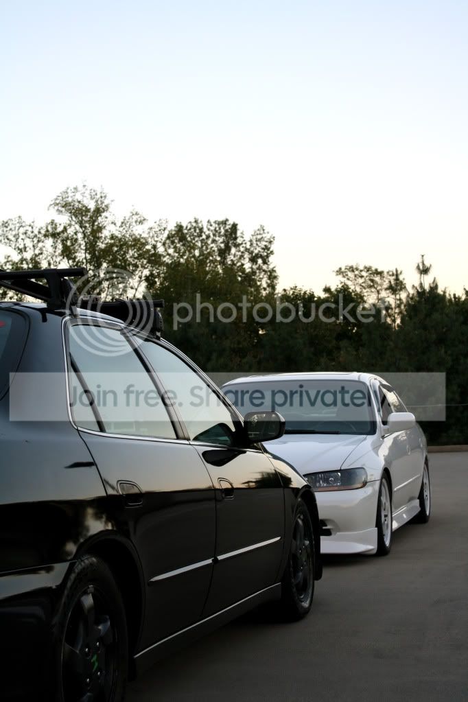 IMG_4667copy.jpg