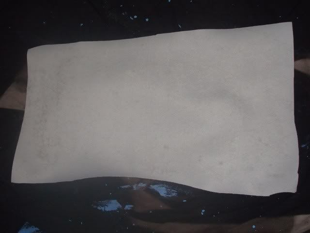 DSC02204.jpg