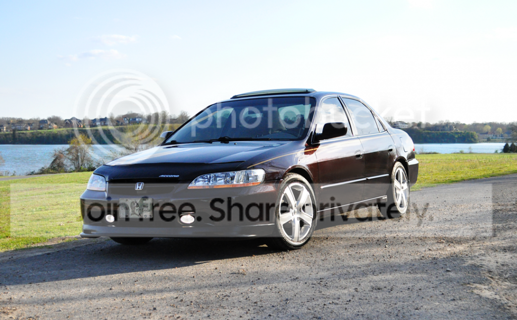 DSC_0235_zpsbb164de5.png
