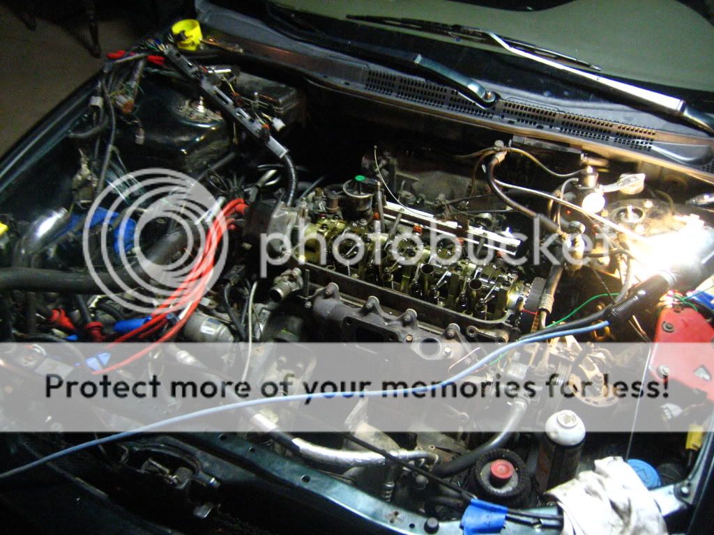 IMG_7111.jpg