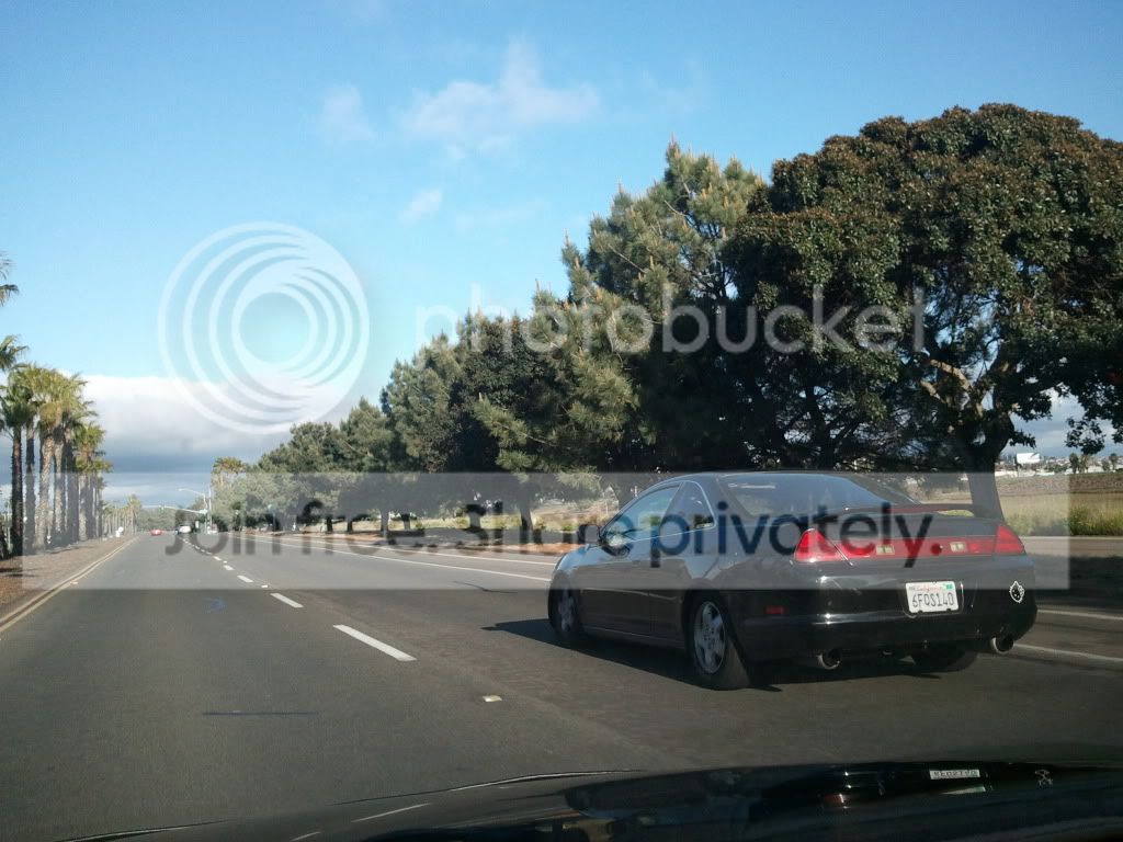 2011-03-27173441.jpg