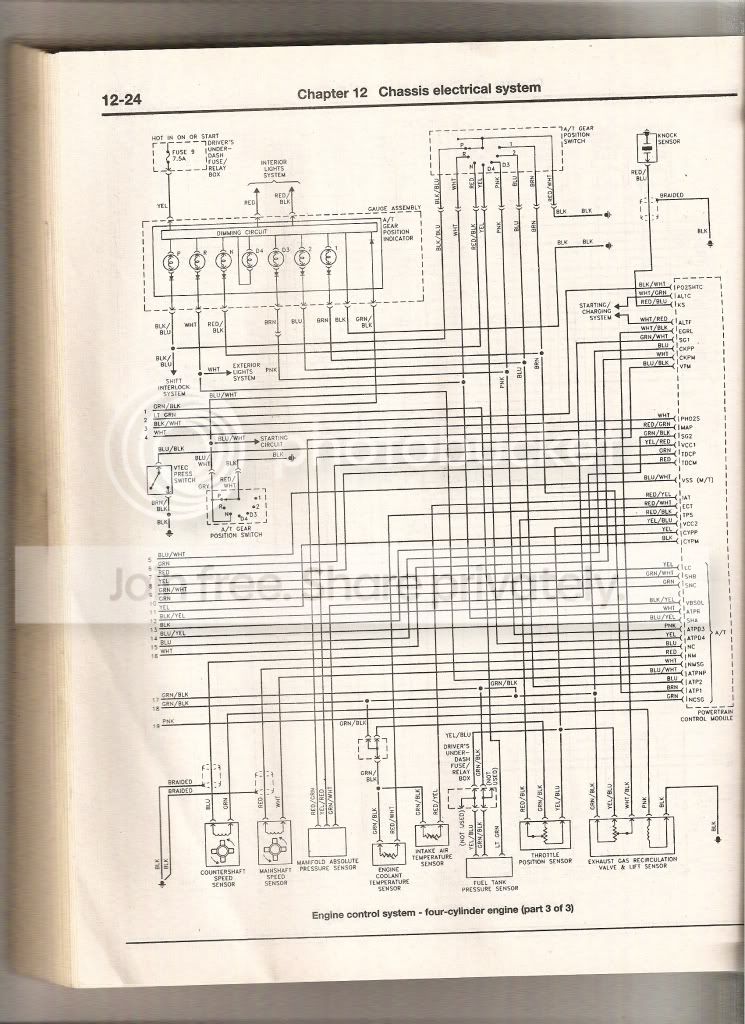 scan10005.jpg