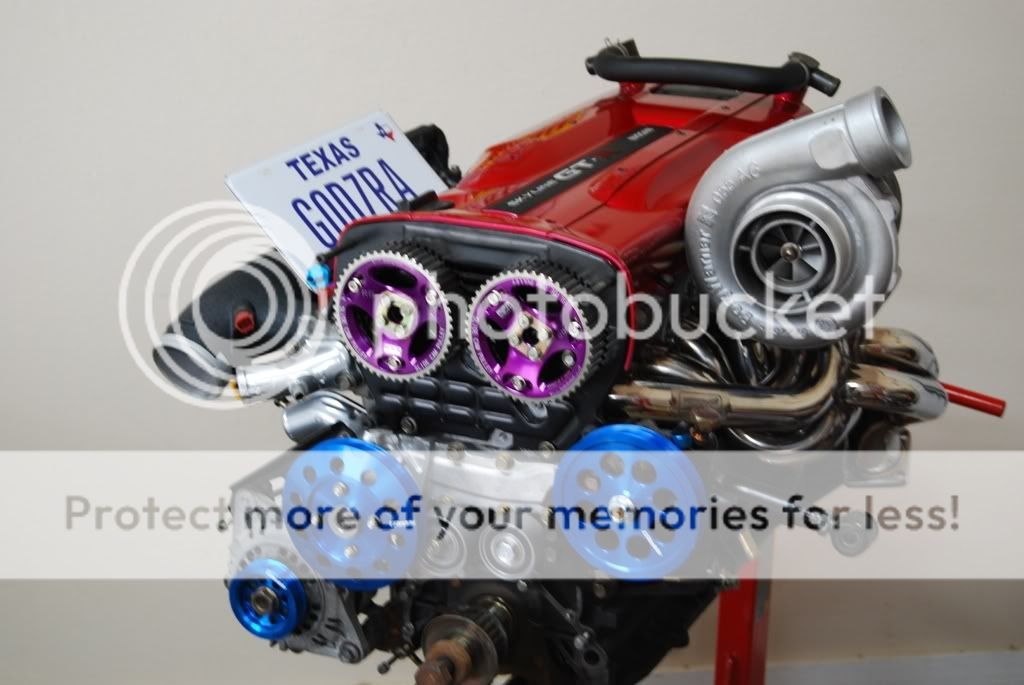 DSC_3155.jpg
