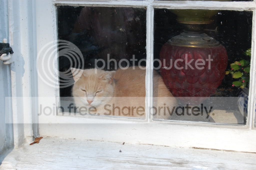 DSC_0136.jpg