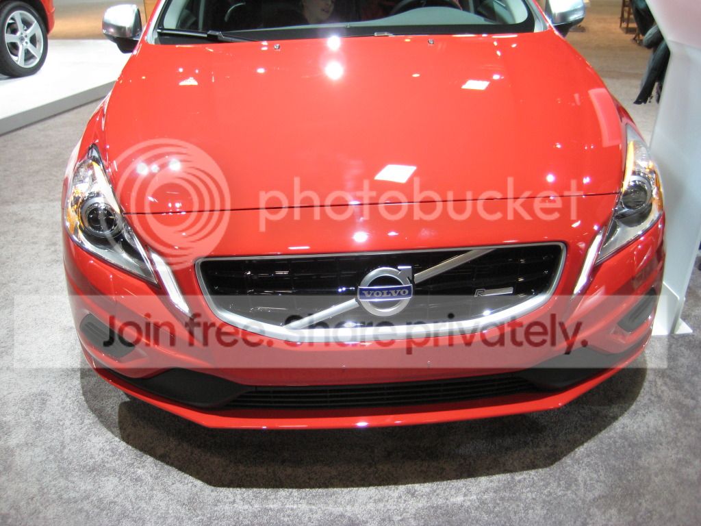 IMG_0316_zps5a583c88.jpg