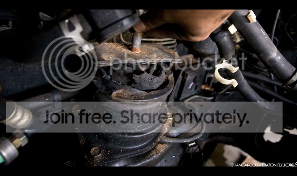 changaroo_rearmountlols.jpg