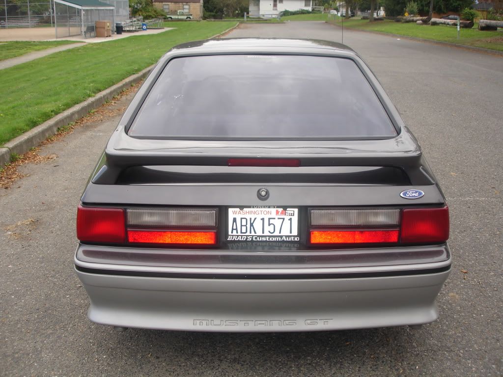 DSC06806.jpg