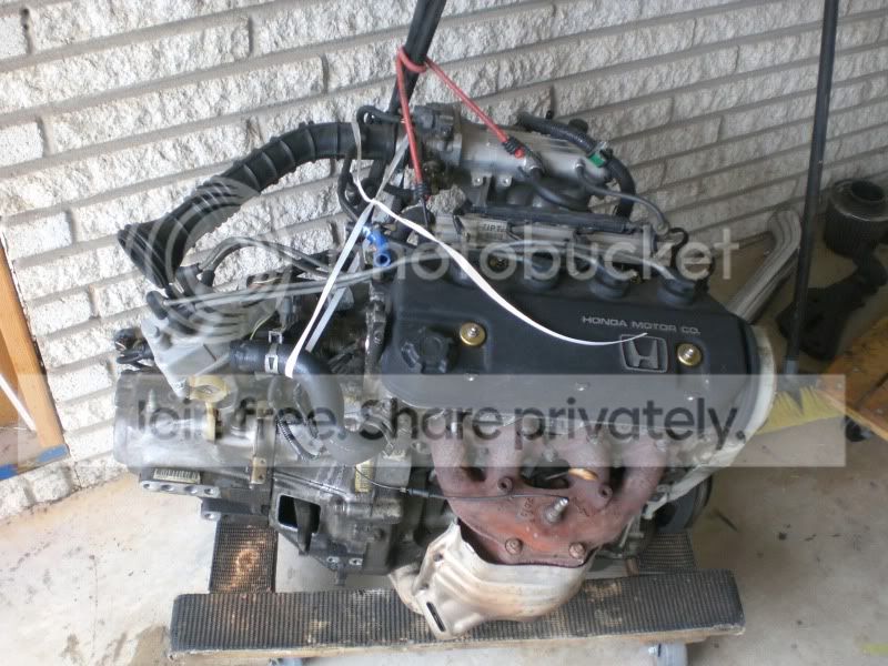 CIMG3474.jpg