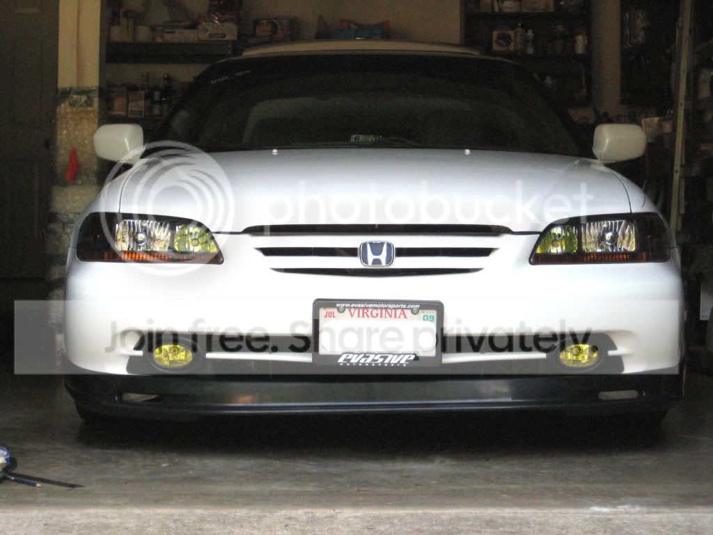 IMG_2798copy.jpg